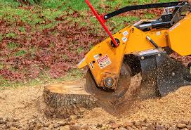 Best Stump Grinding and Removal  in Deer Park, IL